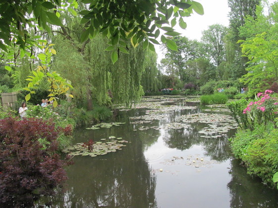 Waterlillies